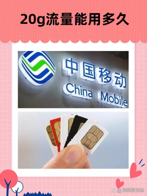 流量五天一般用几G缩略图