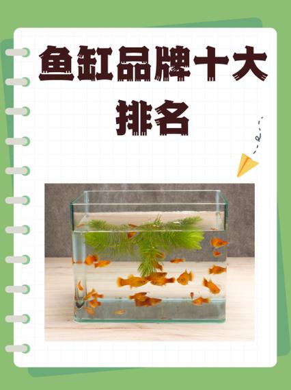 鱼缸品牌十大排名榜缩略图