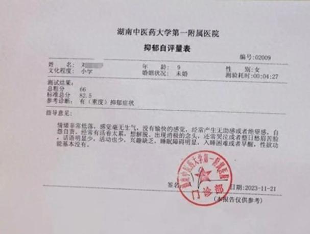 抑郁症诊断书游戏截图