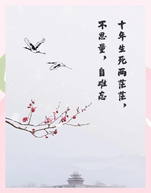 一世容华,半世殇