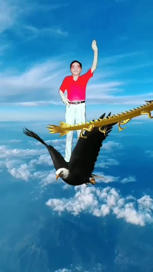 会飞的龙凤呈祥动态图缩略图