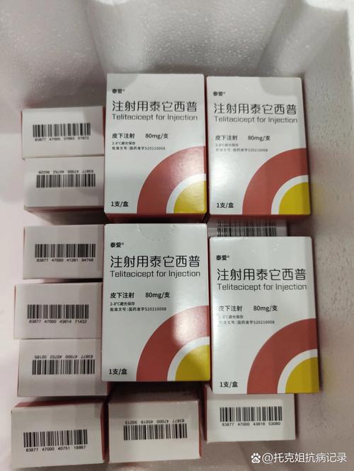 泰拉瑞亚谁喜欢谁