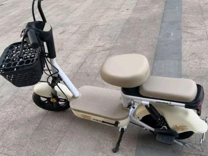 48v飞鸽电动车型号大全图标