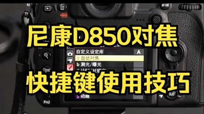 尼康d850对焦设置游戏截图