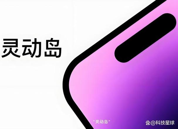 小米14有灵动岛功能吗