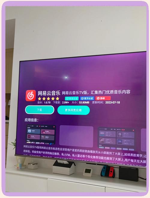 网易云在电视上的软件叫什么