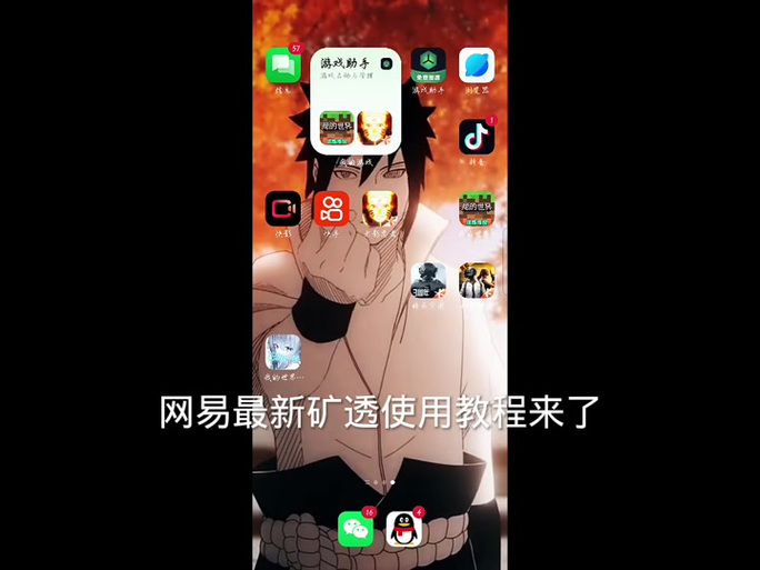 网易版矿透辅助器(免费)缩略图
