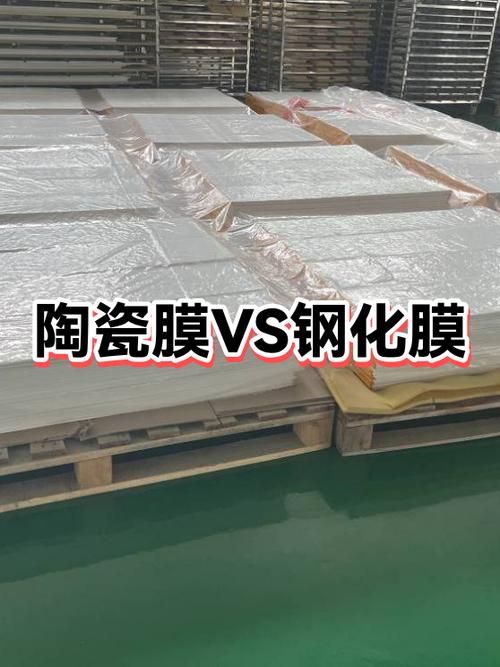 高透膜与钢化膜的区别图标
