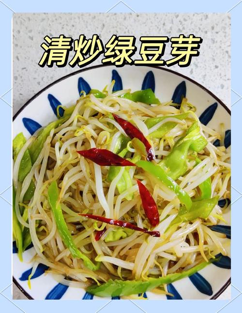 绿豆芽菜的做法大全家常游戏截图