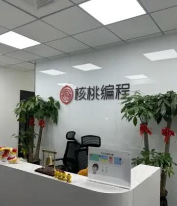 核桃编程证书被国家禁止了吗
