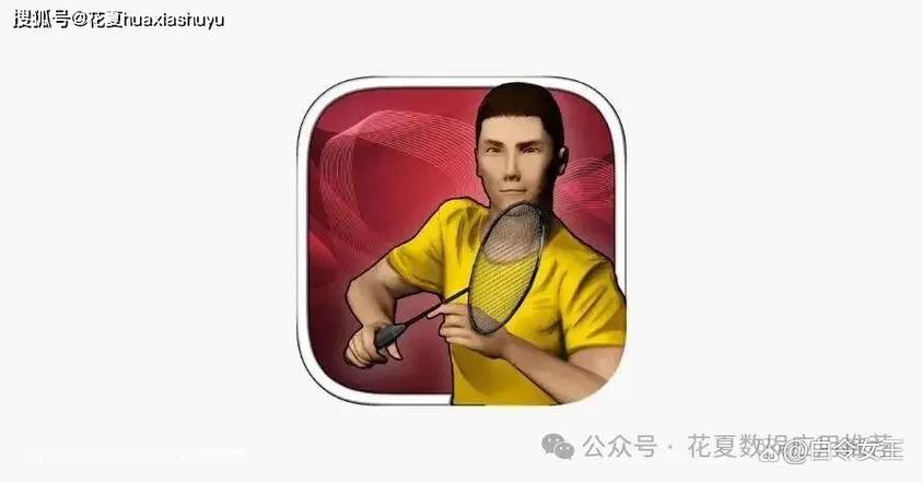 真实羽毛球安卓中文下载