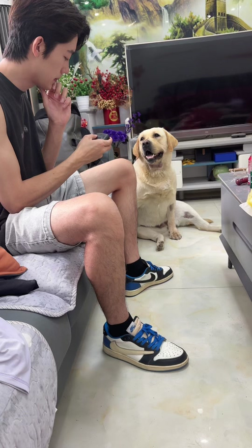 七颗猩猩本人账号缩略图