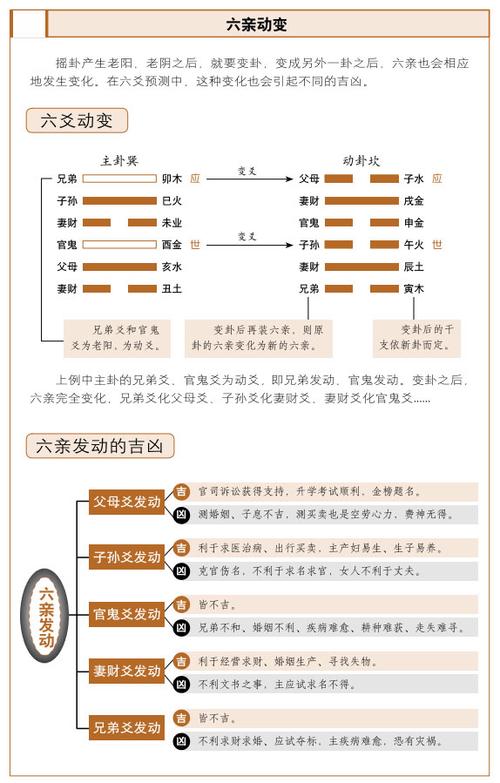 六爻怎么看动爻图标