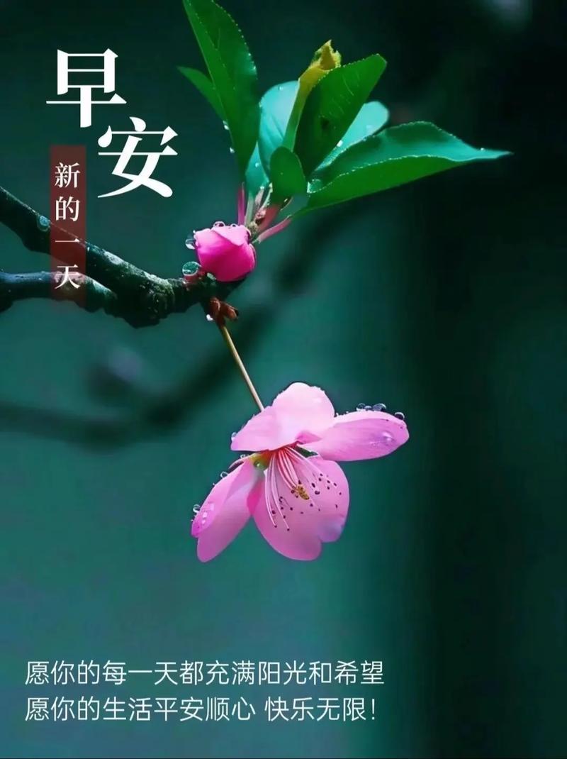 又气又心疼的唯美句子缩略图