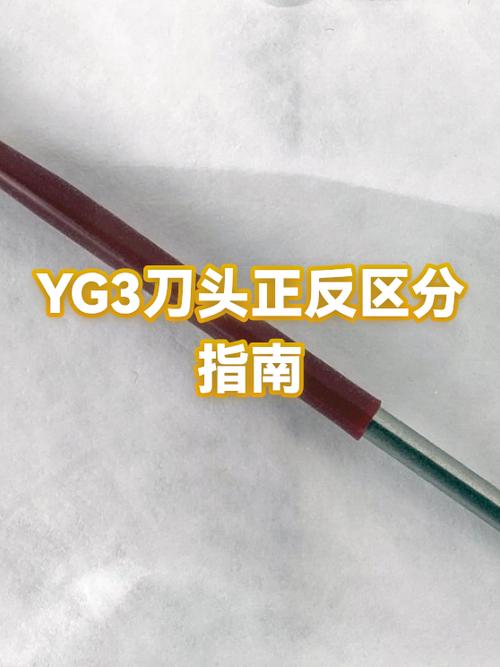 yg3一个图标
