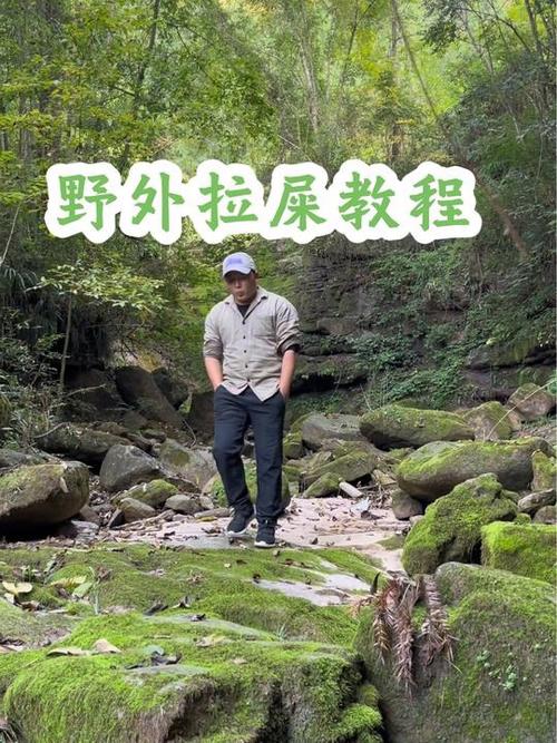 拉屎生存缩略图