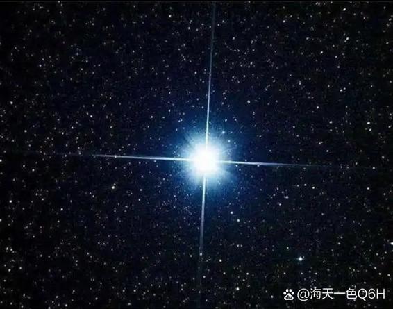 一颗狼星长什么样图标