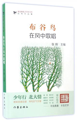 布谷在唱歌的小说游戏截图