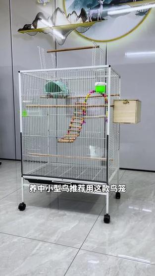 虎皮鹦鹉笼子需要蒙布吗