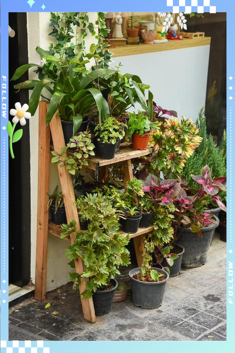 花简空间.逸缩略图