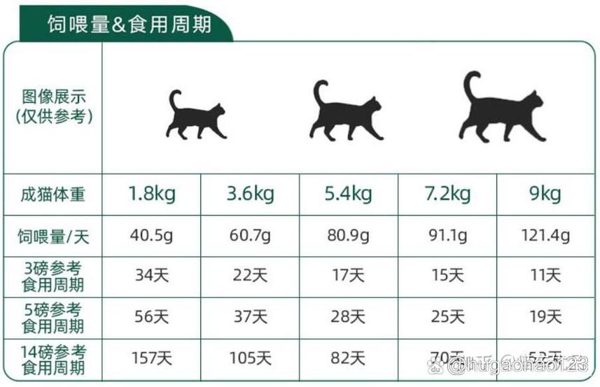 猫一天喂几次缩略图