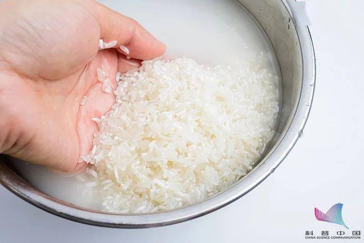大米泡水了还能吃吗缩略图