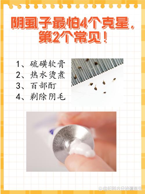 男性阴虱子症状