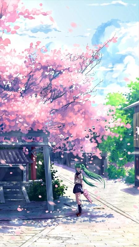 樱花动漫无广告完整版缩略图