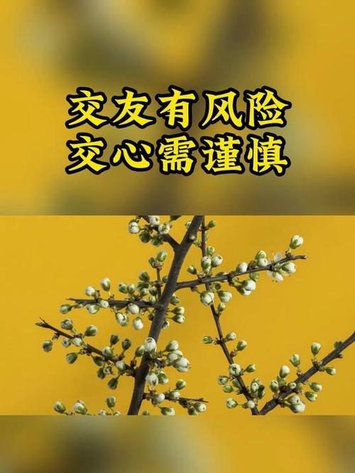 交友不交心图标