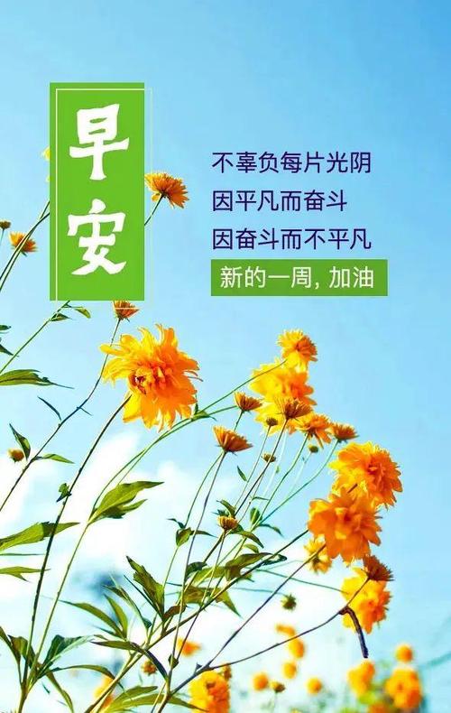 最经典早安短句缩略图