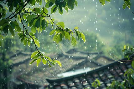 下雨视频素材无水印可下载缩略图