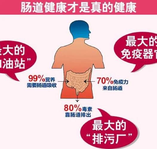 一直拉屎都是稀的怎么了