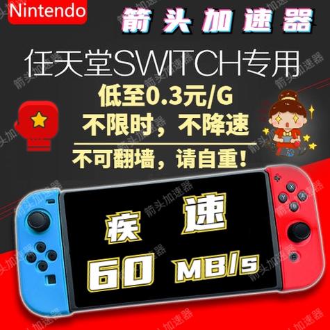 switch家长密码图标