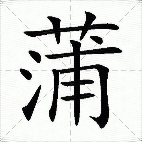 蒲字组词语