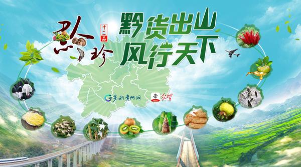 贵州扶贫云官网游戏截图