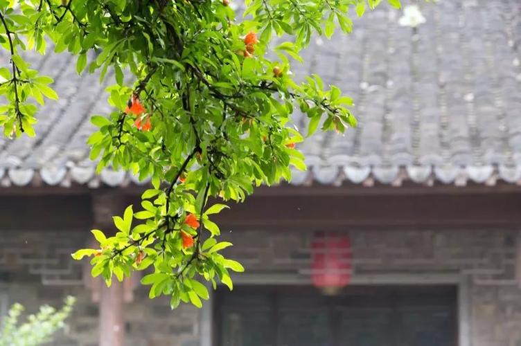 百草园早读公众号缩略图