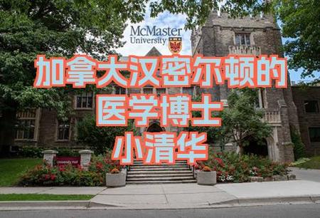 医学博士都很厉害吗游戏截图