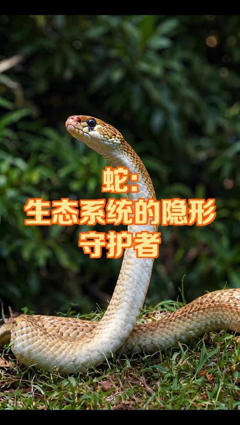 删除ie浏览器后关不了机
