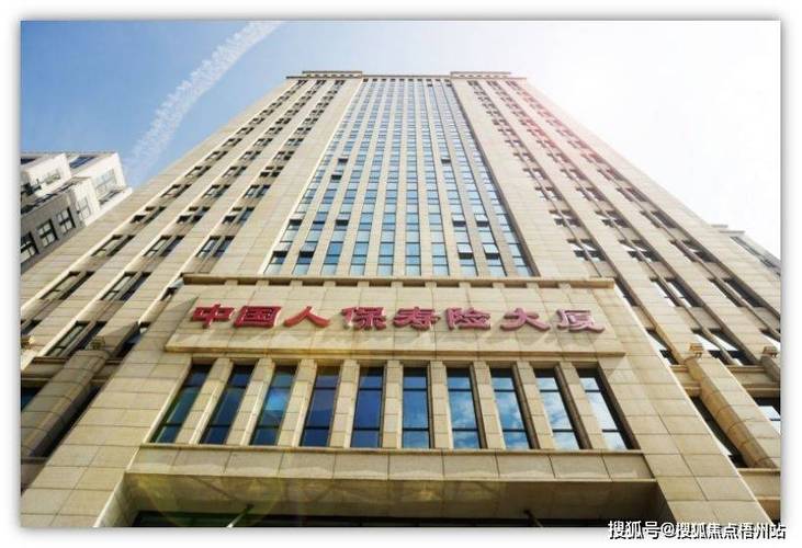 中国人保寿图标