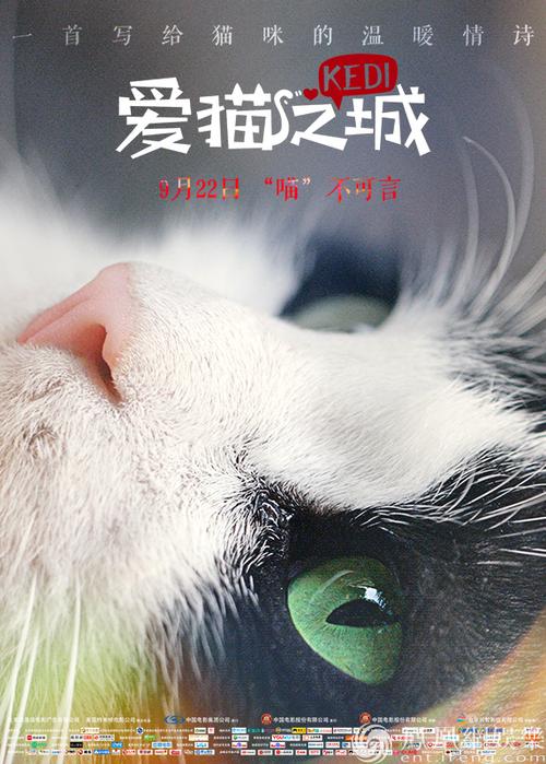 猫咪影视免费缩略图