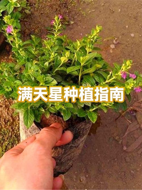 满天星安装步骤与方法