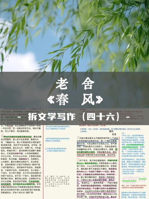 《春风墙》by火风txt讲的什么缩略图