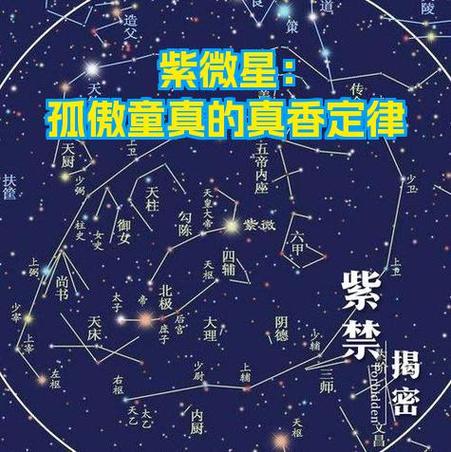 紫微排盘免费查询缩略图