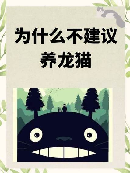 养龙猫的十大危害缩略图