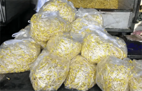 豆芽赚缩略图