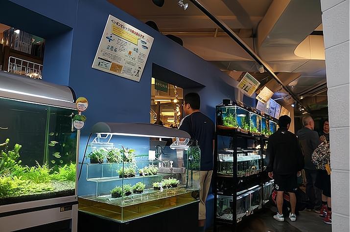 水族店投资需要多少钱缩略图