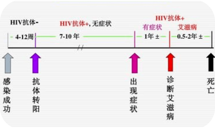 секс4ведо2023年2月20日图标