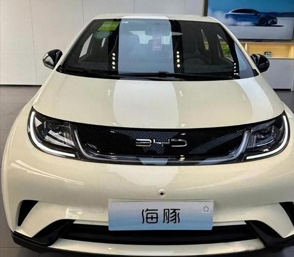 比亚迪纯电动汽车4万缩略图