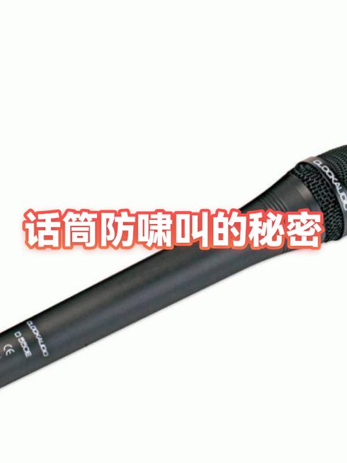 话筒为什么会有啸叫图标