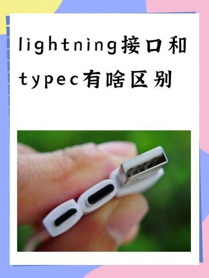 苹果c口和typec通用吗